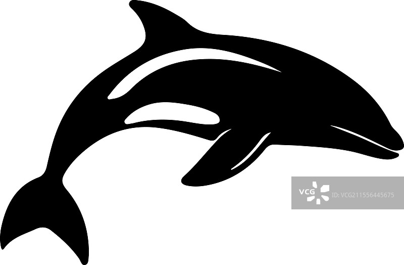 达尔斯海豚剪影图片素材