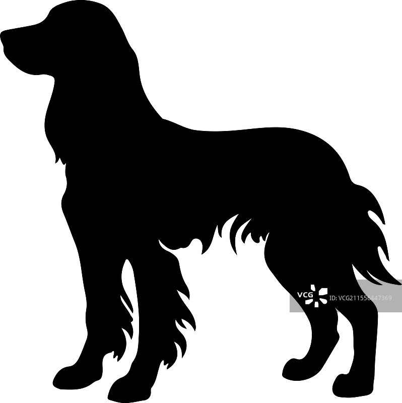 爱尔兰猎犬剪影图片素材