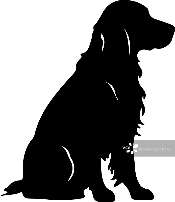 爱尔兰猎犬剪影图片素材