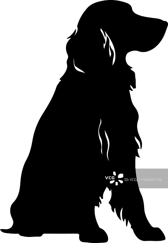 爱尔兰猎犬剪影图片素材