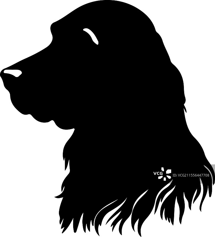 爱尔兰塞特犬剪影图片素材