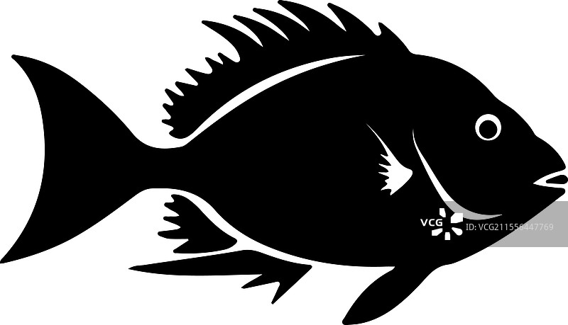 约翰多里鱼的剪影图片素材