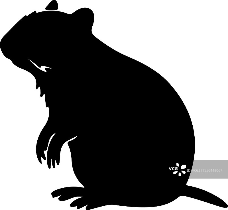 阿古提轮廓图片素材