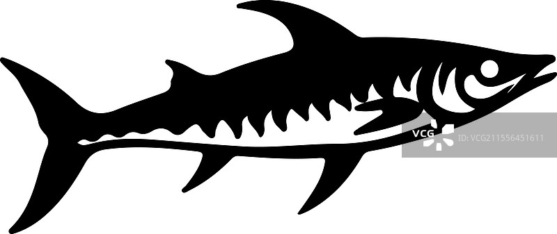 梭鱼轮廓图片素材