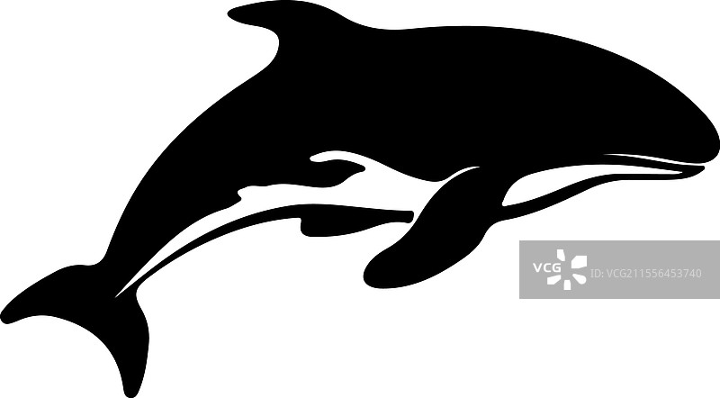 白鲸轮廓图片素材