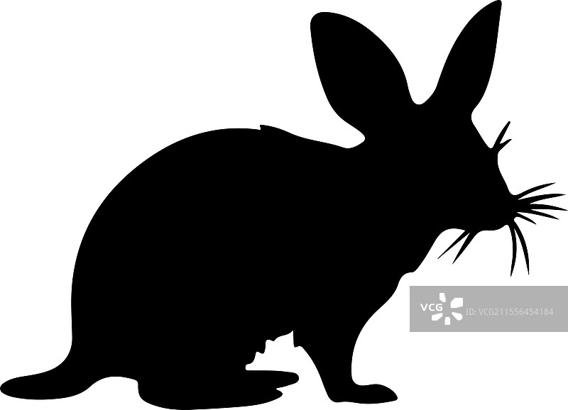 比尔比轮廓图片素材