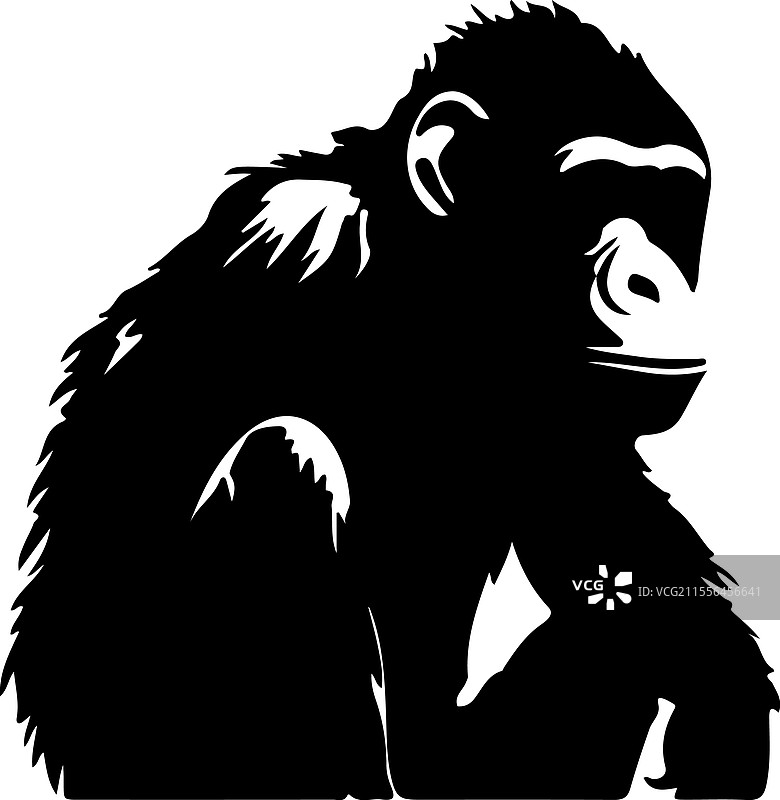 倭黑猩猩剪影图片素材