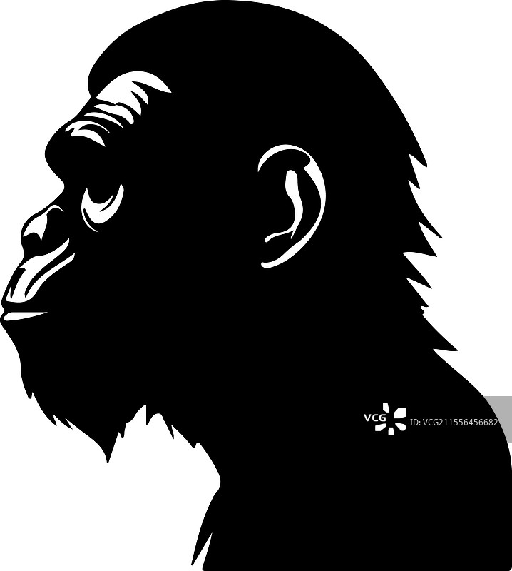 倭黑猩猩剪影图片素材