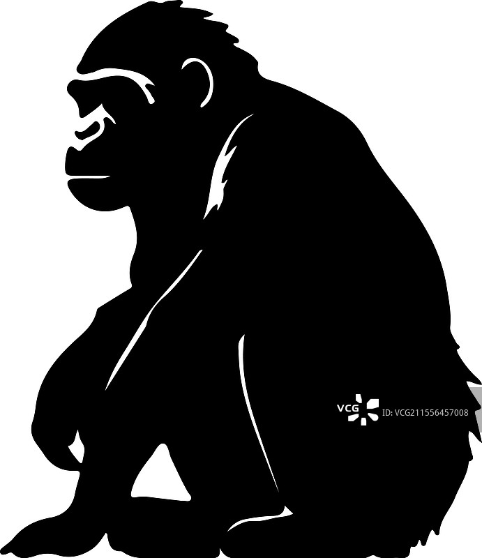 倭黑猩猩剪影图片素材