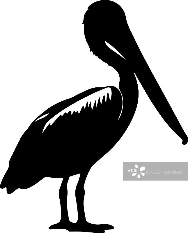 棕色鹈鹕的剪影图片素材