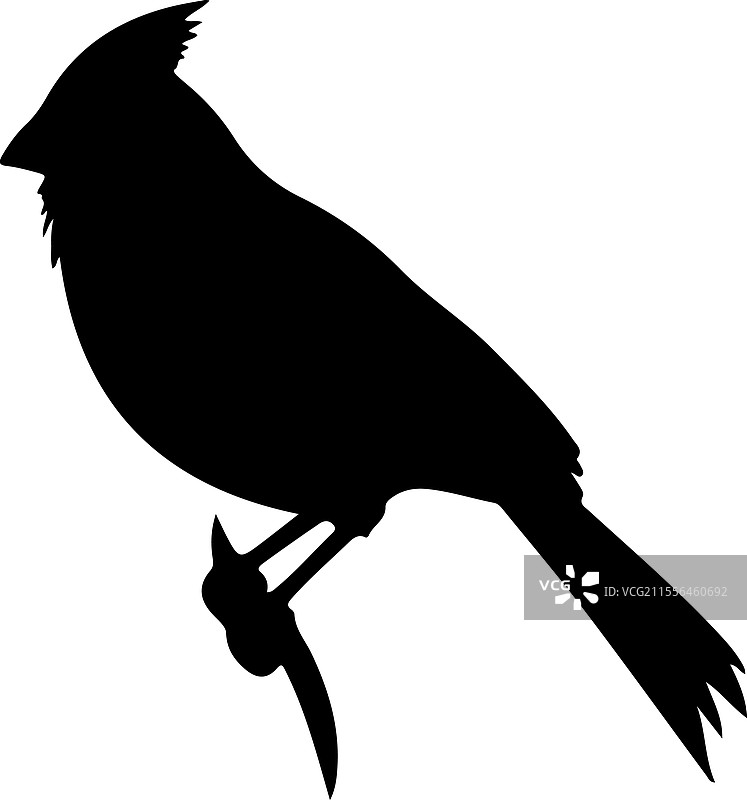 红雀剪影图片素材