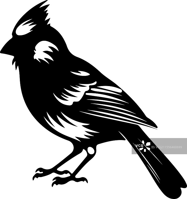 红雀剪影图片素材