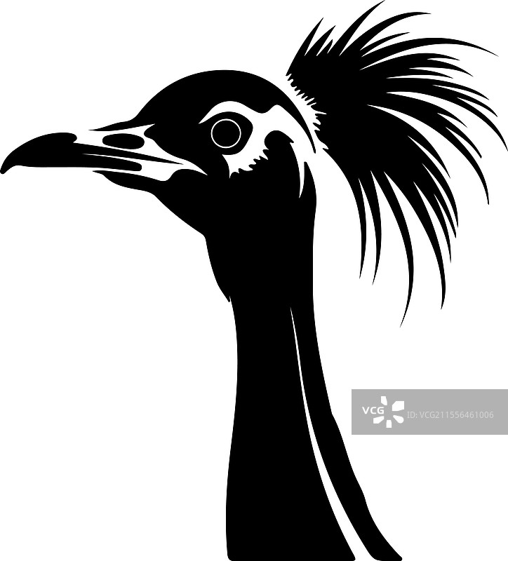 鸸鹋轮廓图片素材