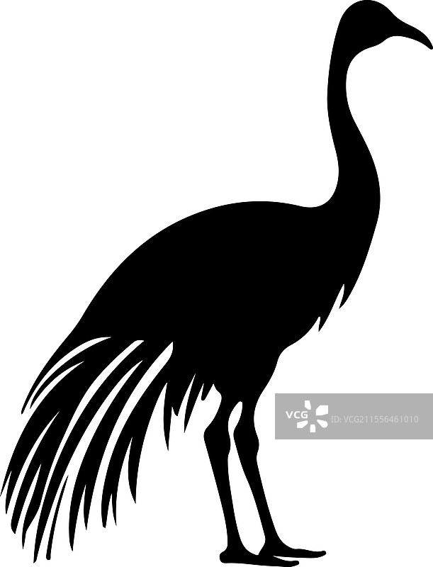 鸸鹋轮廓图片素材