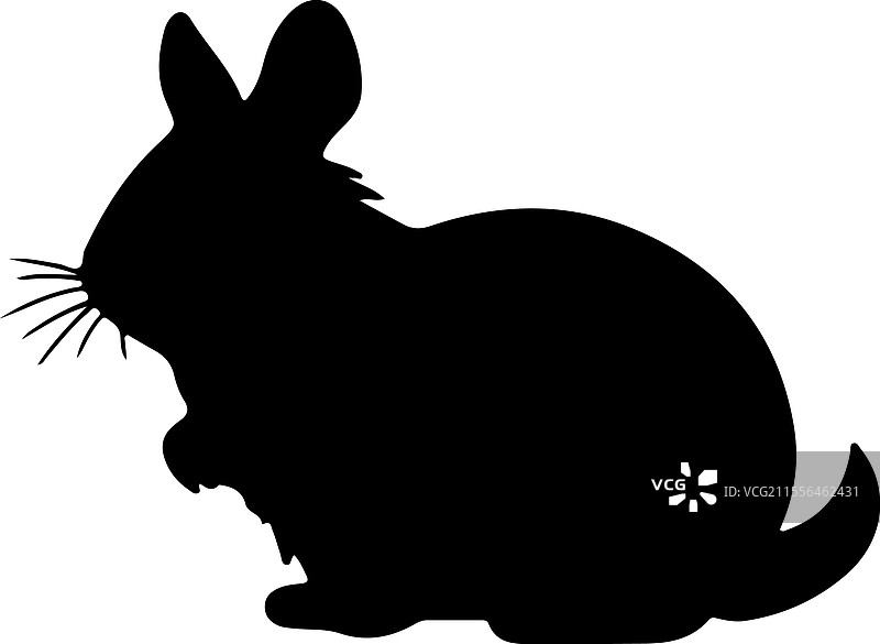 南美洲毛丝鼠剪影图片素材