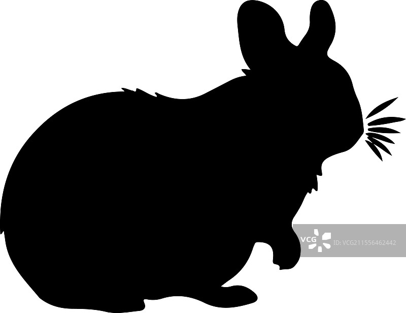 南美洲毛丝鼠剪影图片素材