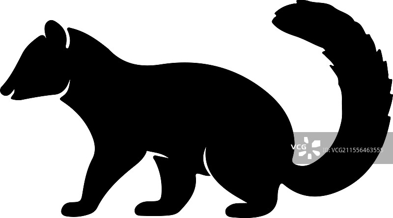 浣熊科动物的剪影图片素材