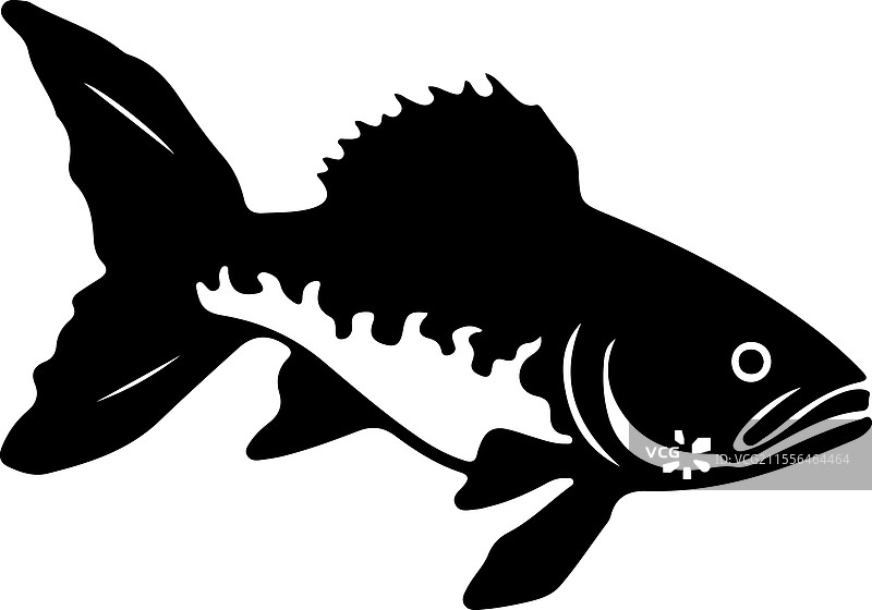 古生代鱼类的轮廓图片素材