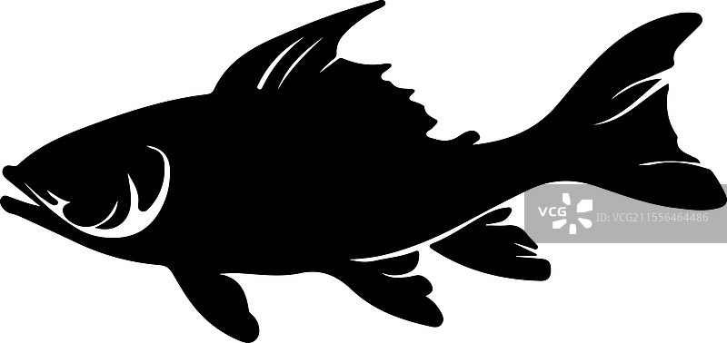 古生代鱼类的轮廓图片素材