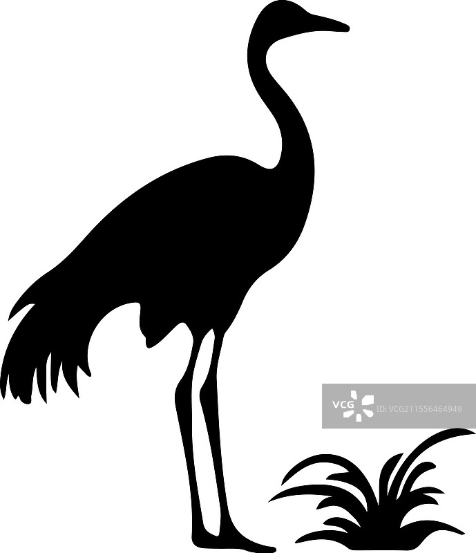 普通鸵鸟剪影图片素材