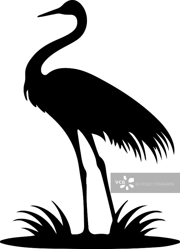 普通鸵鸟轮廓图片素材