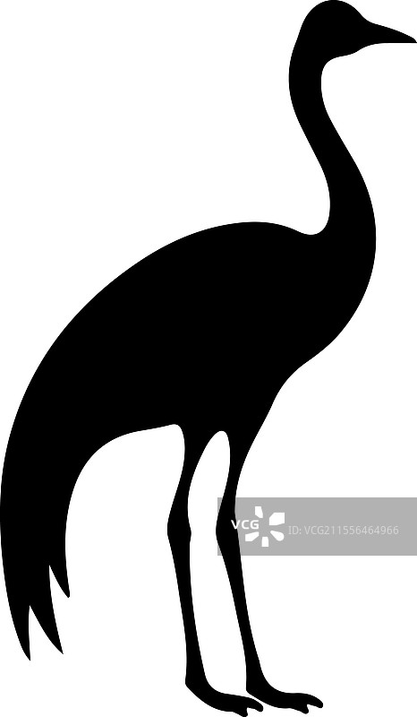 普通鸵鸟轮廓图片素材