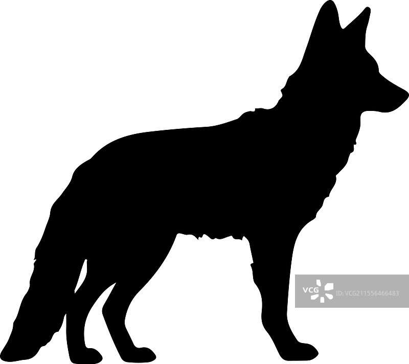 土狼剪影图片素材