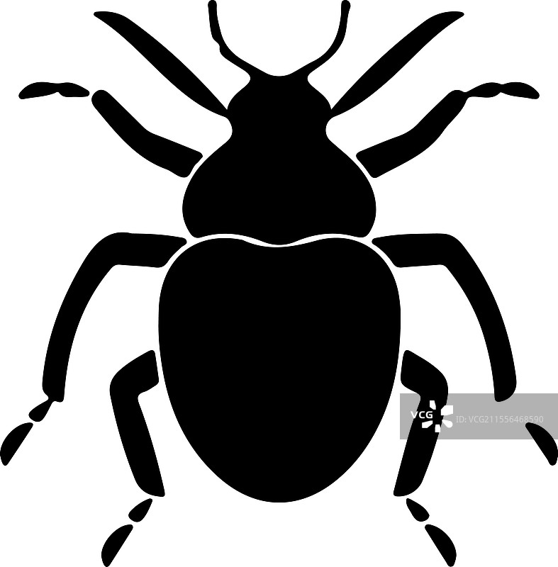 黑暗甲虫剪影图片素材