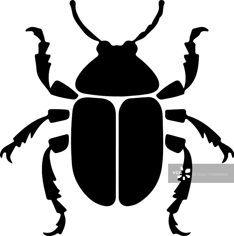 黑暗甲虫剪影图片素材