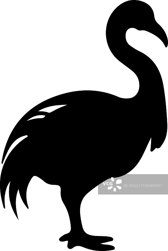 渡渡鸟剪影图片素材