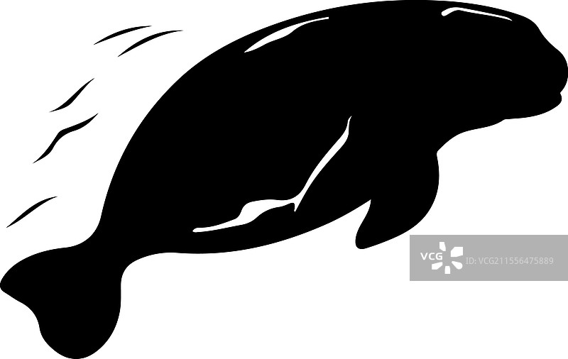 海牛剪影图片素材