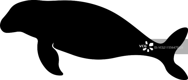 海牛剪影图片素材