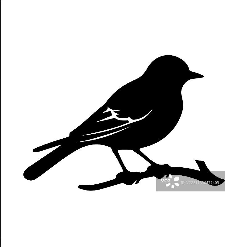 东部蓝鸟剪影图片素材