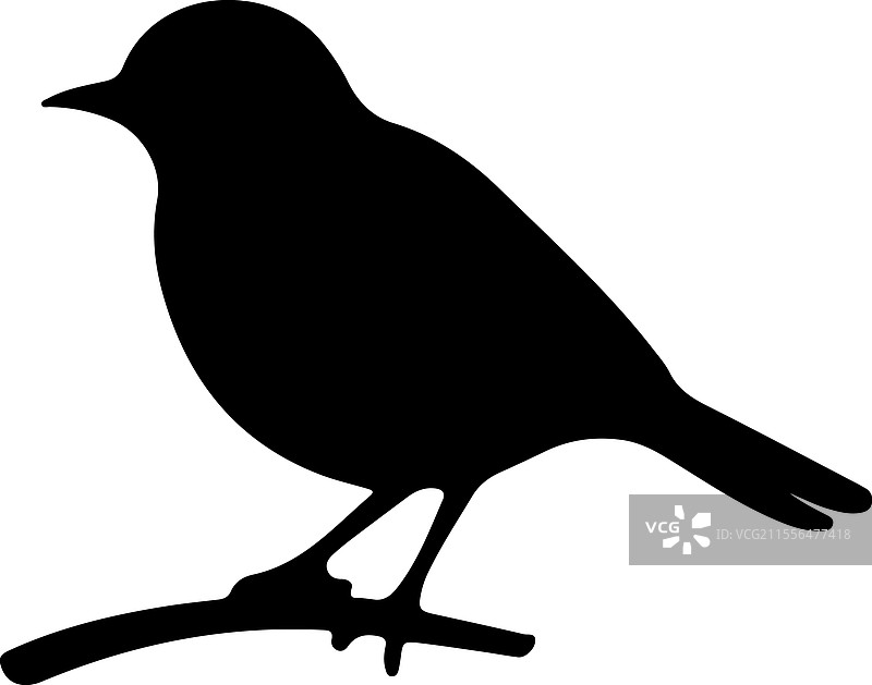 东部蓝鸟剪影图片素材