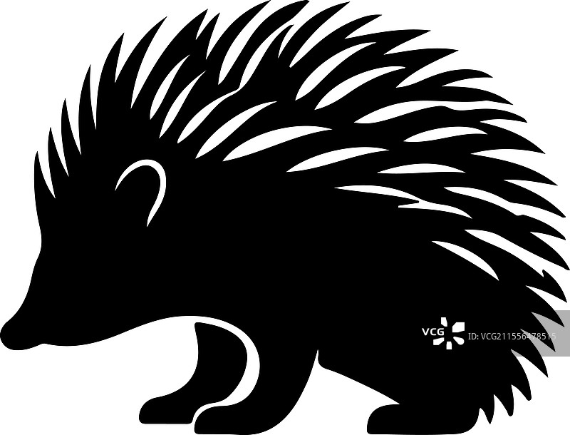 针鼹的轮廓图片素材