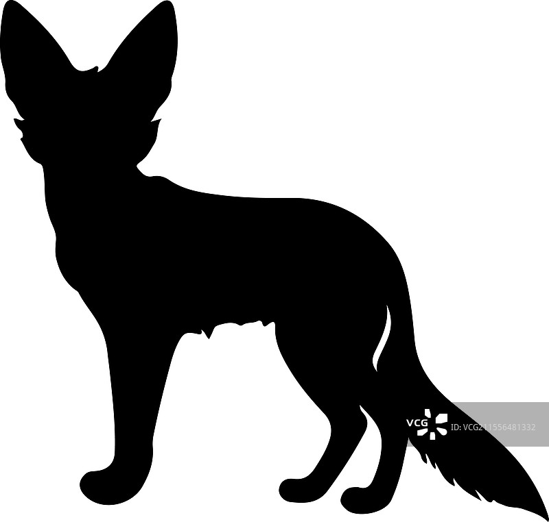 长尾猕猴的剪影图片素材