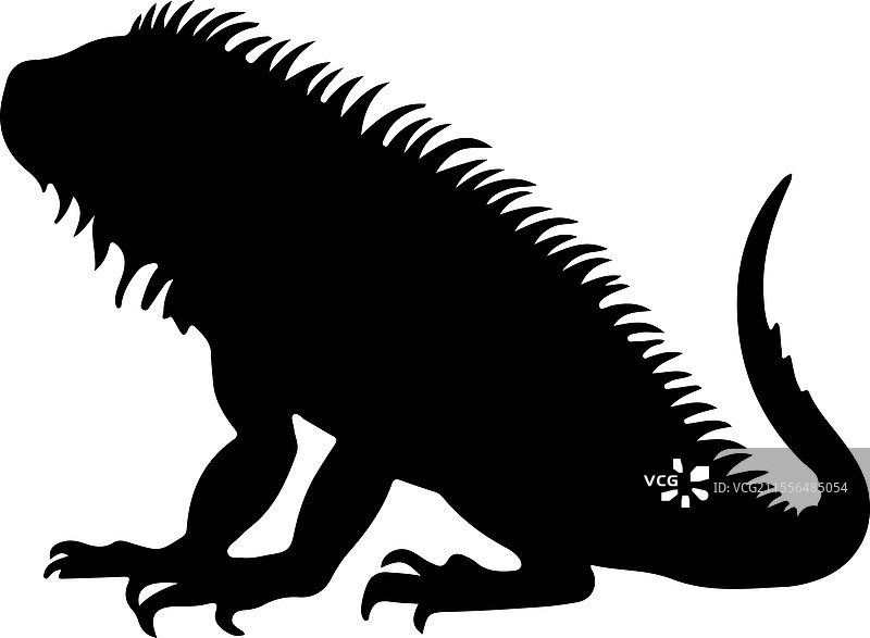 绿色鬣蜥剪影图片素材