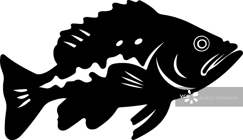 石斑鱼剪影图片素材