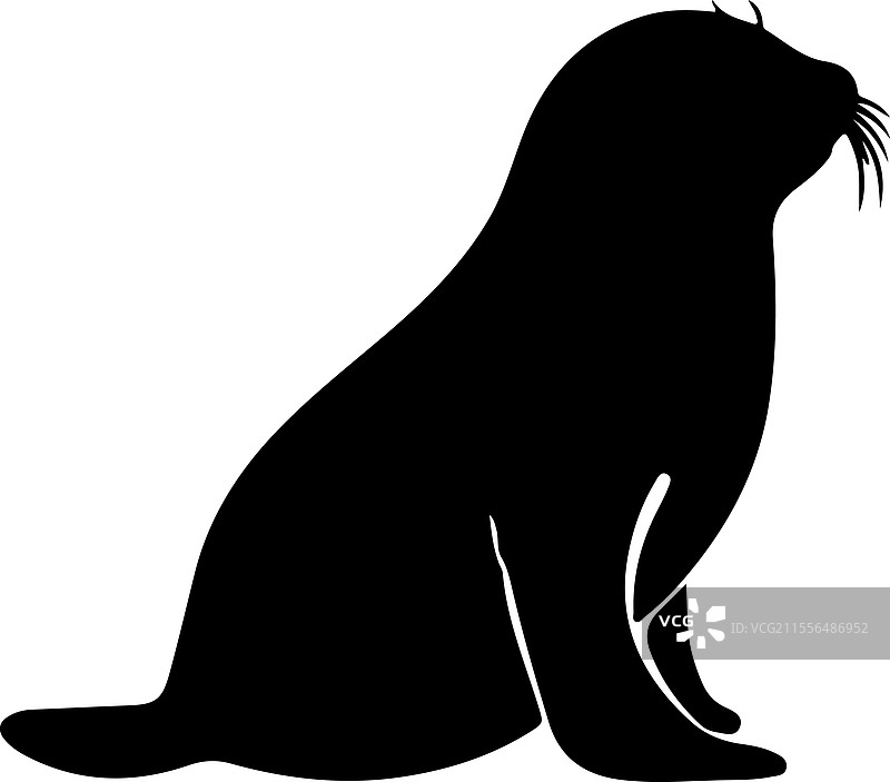 海豹轮廓图片素材