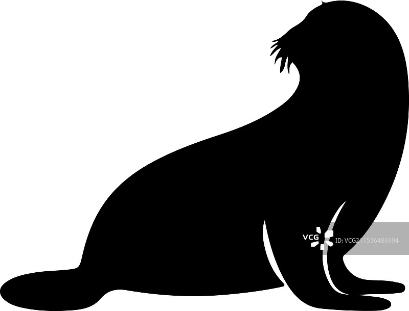 海豹轮廓图片素材