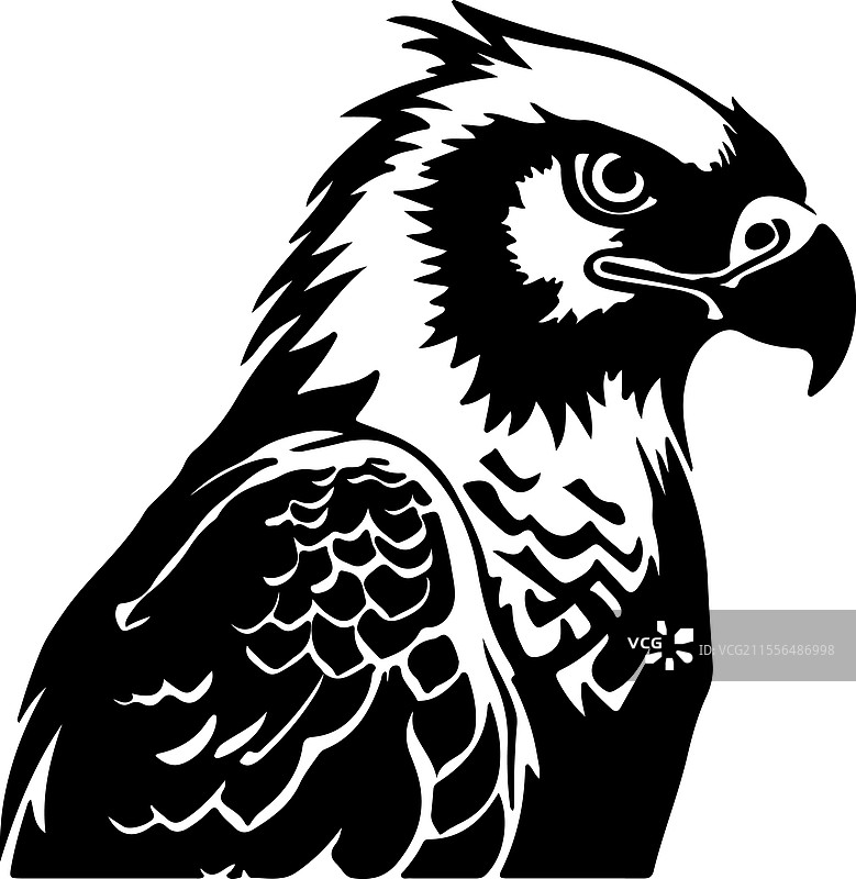 哈比鹰剪影图片素材