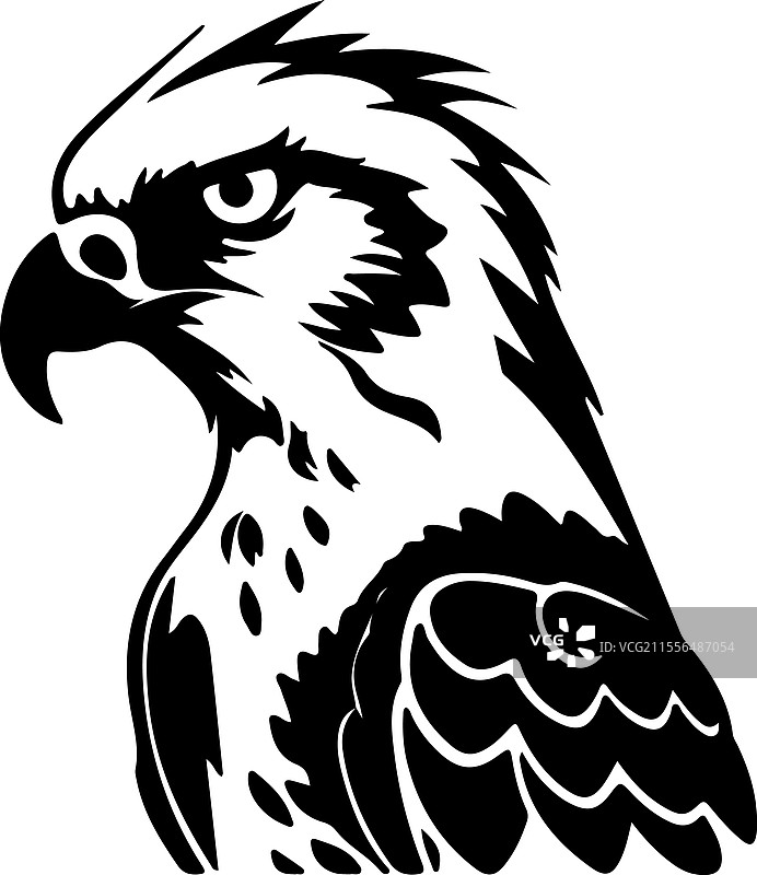 哈比鹰剪影图片素材