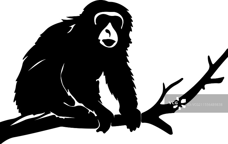 吼猴剪影图片素材