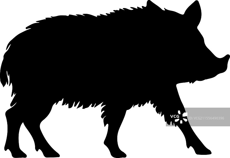 野猪剪影图片素材