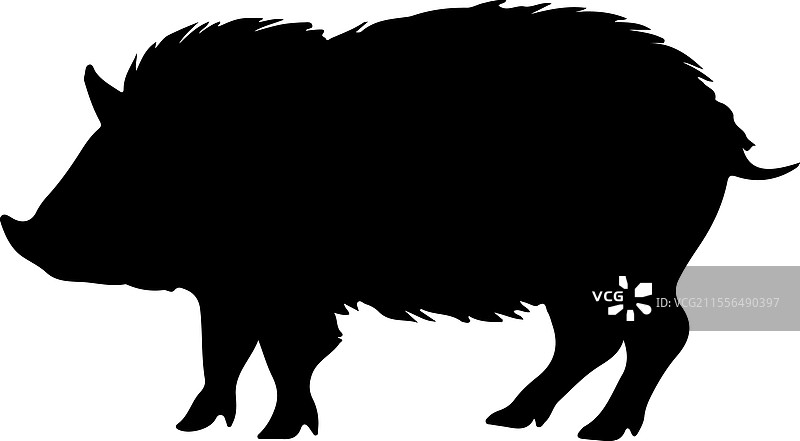 野猪剪影图片素材