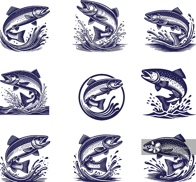 鲑鱼鱼轮廓图片素材