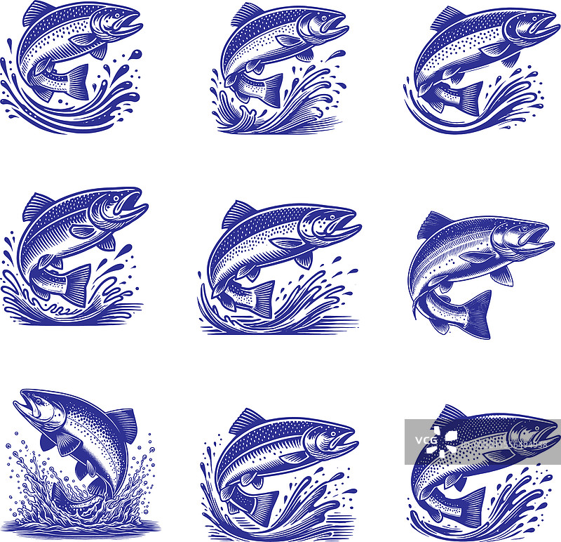 鲑鱼鱼轮廓图片素材