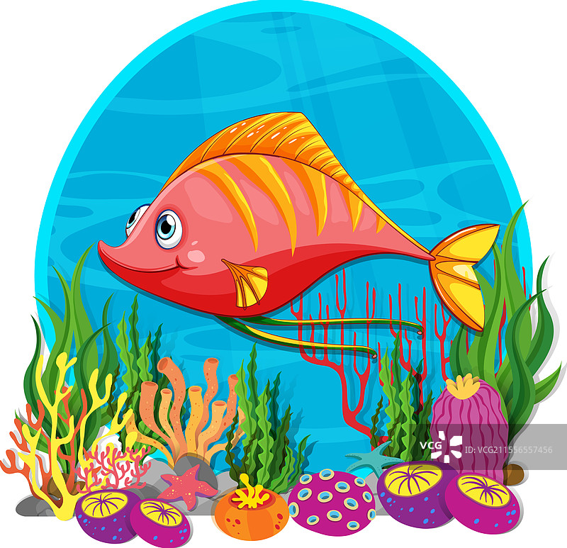 在五彩斑斓的珊瑚和海洋中游动的明亮鱼类图片素材