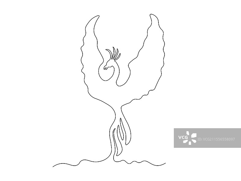 神话中的凤凰鸟，连续一条线图片素材