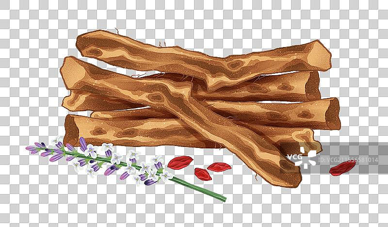 中国传统文化中医养生中草药药材医疗用品之知母图片素材